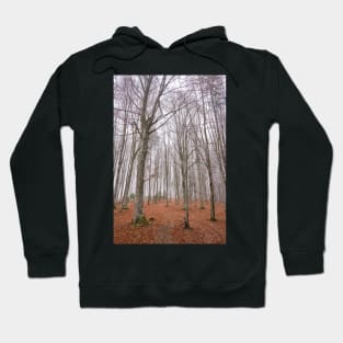 Winter landscape with frost on trees Hoodie